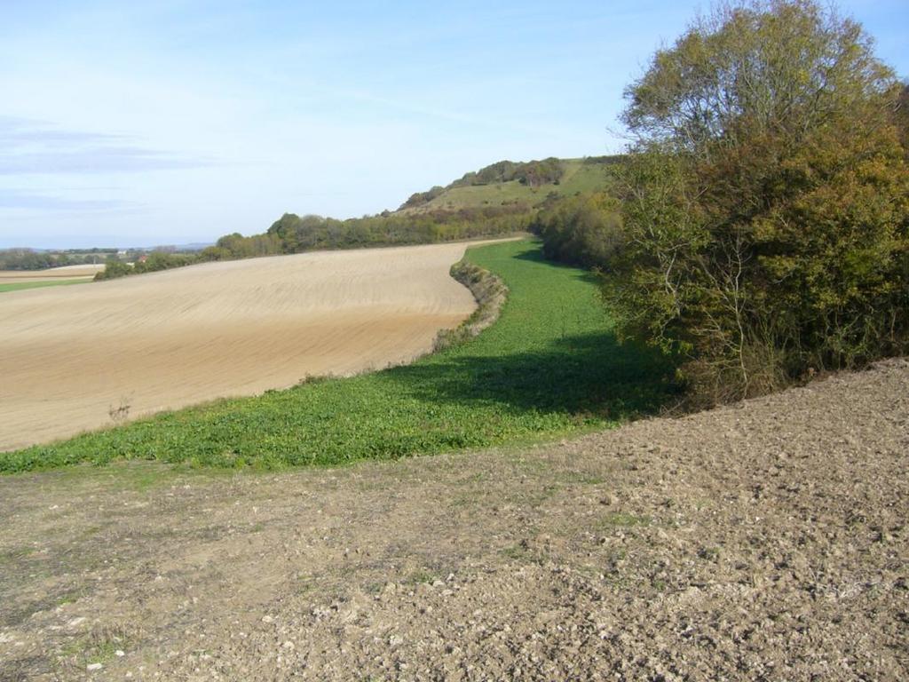 Les Collines Du Breuil Villa Samer Buitenkant foto